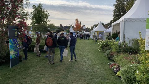 On peut tabler sur une fréquentation totale finale tournant un peu au-dessus de 10 000 visiteurs, soit moins de la moitié d’une édition « normale ». ©P. Fayolle
